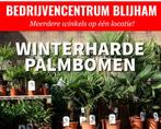 Winterharde palmbomen, Ophalen, Palmboom