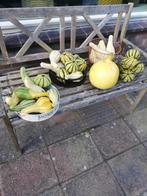 Pompoenen en kalabassen, Ophalen, Zo goed als nieuw