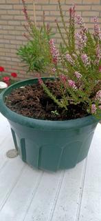 Gratis kunststof plantenbak, 40 x 28 cm., Tuin en Terras, Bloembakken en Plantenbakken, Ophalen, Kunststof, Gebruikt, Rond