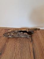 Knaagdier / hamster accessoire boomstam, Dieren en Toebehoren, Knaagdieren en Konijnen | Toebehoren, Ophalen