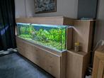 Aquarium 220 X70 X 60 cm., Ophalen, Gebruikt, Gevuld zoetwateraquarium