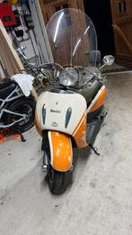 Kapotte Berini scooter - opknapper of voor onderdelen, Ophalen, Gebruikt, Overige typen, Overige merken