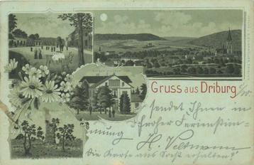 (379-166-003) Driburg Litho beschikbaar voor biedingen