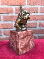 zittende bulldog, brons en marmer, topbeeldje!, Antiek en Kunst, Antiek | Koper en Brons, Ophalen of Verzenden, Brons