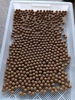 strawberry fish premium boilies🍓🍓🍓🍓🐟🐟🐟🐟, Ophalen of Verzenden, Nieuw, Overige typen