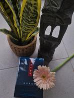 Prada Luna Rossa Ocean Eau de Toilette - Herenparfum, Sieraden, Tassen en Uiterlijk, Uiterlijk | Parfum, Ophalen of Verzenden