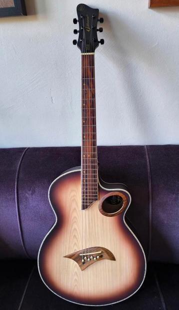 Gillamore semi akoestische gitaar,  beschikbaar voor biedingen