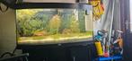 Juwel Vision  260 met kast, Dieren en Toebehoren, Ophalen, Zo goed als nieuw, Leeg aquarium