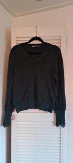 Merino wollen trui met kanten mouwen, Kleding | Dames, Maat 46/48 (XL) of groter, Plein Publique, Ophalen of Verzenden, Zo goed als nieuw