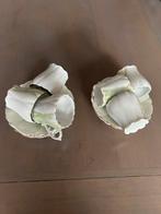 Theeservies Kop en Schotels, Ophalen of Verzenden, Zo goed als nieuw, Overige stijlen, Kop(pen) en/of Schotel(s)