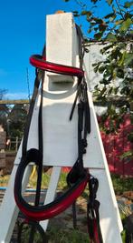 Hoofdstel maat full, Dieren en Toebehoren, Ophalen of Verzenden, Gebruikt, Overige soorten