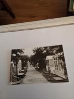 ROCKANJE AAN.  F.H.G. van Iterson - kamp, Ophalen of Verzenden, Voor 1920, Gelderland