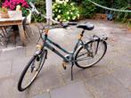 Trek damesfiets 22 inch /55cm, Fietsen en Brommers, Fietsen | Dames | Damesfietsen, 53 tot 56 cm, Ophalen, Gebruikt, Overige merken
