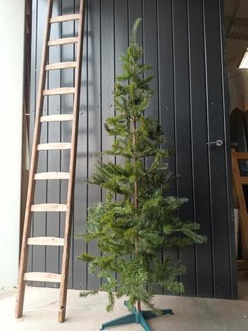 Mooi smalle slanke kunstkerstboom kerstboom Ikea vinterfest beschikbaar voor biedingen