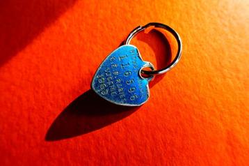 Vintage 1963 badge Pitman Moore Rabies vaccinatie *021 beschikbaar voor biedingen