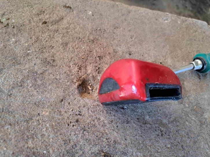 Lely Gea Nedap Koe herkenning uitlezen via Robot of KVstatio, Dieren en Toebehoren, Runderen, Mannelijk, 11 jaar of ouder