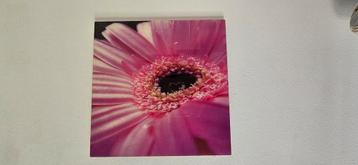 Schilderij (achter glas) beschikbaar voor biedingen
