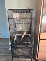 Kamervoliere met 3 Valkparkieten, Ophalen, Metaal, Vogelkooi