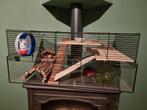 Grote hamsterkooi, Dieren en Toebehoren, Knaagdieren en Konijnen | Hokken en Kooien, Minder dan 60 cm, Kooi, Ophalen of Verzenden