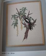 Gezocht: Eva Rosenstand 12-550, Ophalen of Verzenden, Borduurpakket