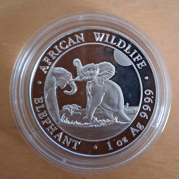Gereserveerd voor Remco - Somali Olifant - jaar 2024, Postzegels en Munten, Munten | Afrika, Losse munt, Overige landen, Zilver