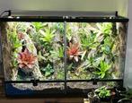 terrarium of paludarium laten inrichten?, Ophalen, Nieuw, Terrarium of Paludarium