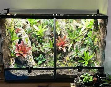 terrarium of paludarium laten inrichten? beschikbaar voor biedingen