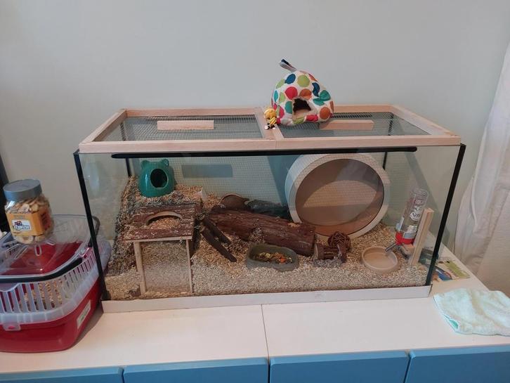 Starterpakket hamster / toebehoren hamster, Dieren en Toebehoren, Knaagdieren en Konijnen | Hokken en Kooien, Zo goed als nieuw