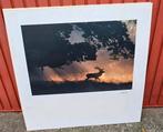 Mooie gefotografeerde platen op dik karton, Ophalen