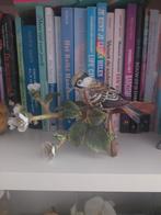 Rspb franklin mint vogels porselein, Verzamelen, Beelden en Beeldjes, Ophalen, Zo goed als nieuw, Dier