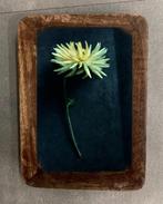 Foto’s bloemen ingelijst, Huis en Inrichting, Minder dan 50 cm, Nieuw, Ophalen of Verzenden, Print