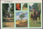 Otterlo 5 luik Wandelen Natuur Paard Veulen Ongelopen, Verzenden, Ongelopen, Gelderland