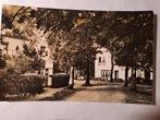 Bergen NH, Ruïne laan, felooen,fotokaart, Ophalen of Verzenden, Voor 1920, Noord-Holland