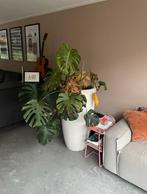 Grote Plantenpot / Bloempot, Tuin en Terras, Ophalen, Overige soorten