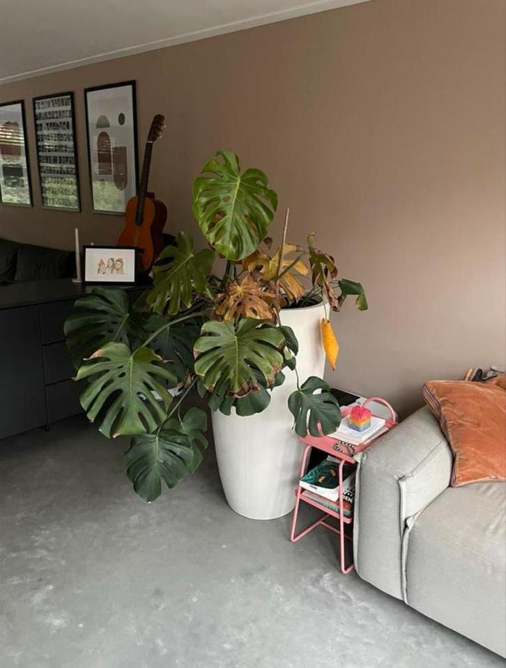 Grote Plantenpot / Bloempot, Tuin en Terras, Planten | Tuinplanten, Overige soorten, Ophalen
