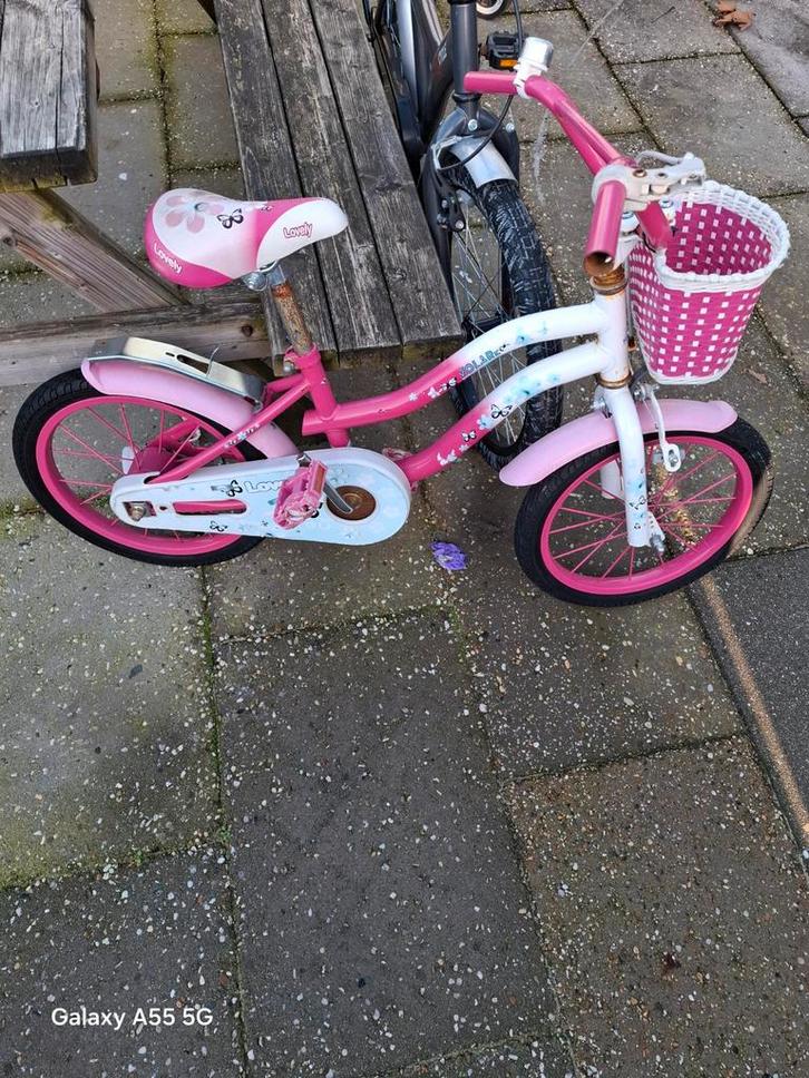 Opknap fietsen 2 voor volwassenen en 2 voor kinderen., Fietsen en Brommers, Fietsen | Kinderfietsjes, Gebruikt, 16 tot 20 inch