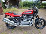 Harley Davidson sportster XR 1200, Motoren, Motoren | Harley-Davidson, Particulier