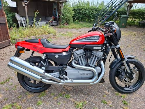 Harley Davidson sportster XR 1200, Motoren, Motoren | Harley-Davidson, Particulier, Ophalen