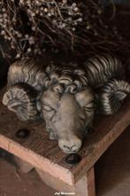 Head Ram Majestic Brown, ram hoofd Brynxz, Www.jufbrocante.nl, Www.jufbrocante.nl, Nieuw, Ophalen of Verzenden