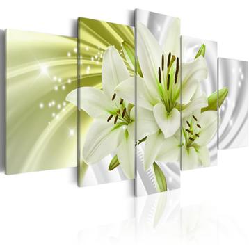 250 Groen Wit Bloemen 5 Luik Canvas Schilderij 200x100cm beschikbaar voor biedingen