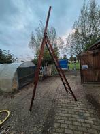 Houten Ladder - Wienese Ladders, Ophalen, Gebruikt, Ladder, 2 tot 4 meter