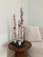 Set Van 3 Schelpen Op Voet Schelp Natuur, Veens Living, Nieuw, Elst, Info@veensliving.nl