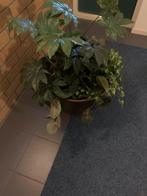 Antieke Roodkoperen Bak - Planten/Hout, Antiek en Kunst, Antiek | Koper en Brons, Ophalen of Verzenden