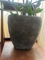 Landelijke grijze ovale pot met plant, Tuin en Terras, Bloempotten, Ophalen, Zo goed als nieuw, Minder dan 25 cm, Overige vormen