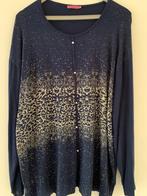 Zachte trui van Rumeysa 4 XL, Ophalen of Verzenden, Zo goed als nieuw, Blauw, Trui of Vest