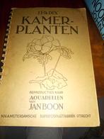 Dix kamerplanten, Antiek en Kunst, Verzenden