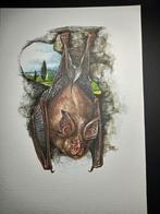 Kleine Hoefijzerneus, Verzenden, 1980 tot heden, Zo goed als nieuw, Dier