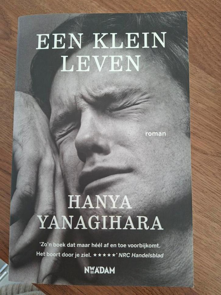Een Klein Leven - Hanya Yanagihara, Boeken, Romans, Gelezen, Nederland, Ophalen of Verzenden