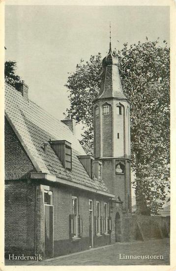 (387-013-053) Harderwijk Linnaeustoren beschikbaar voor biedingen