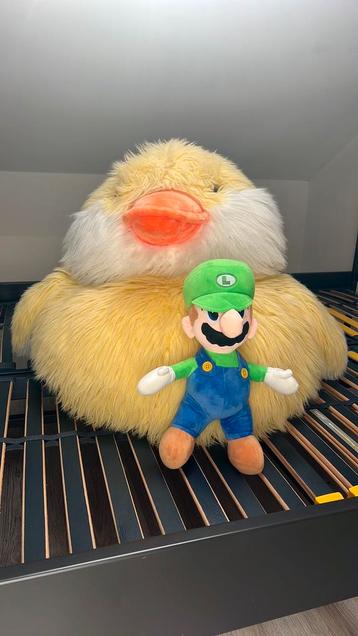 XXL knuffel eend beschikbaar voor biedingen